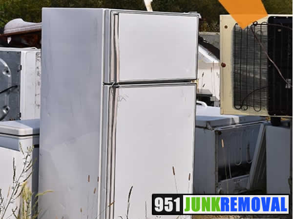 Refrigerators & Freezers Removal